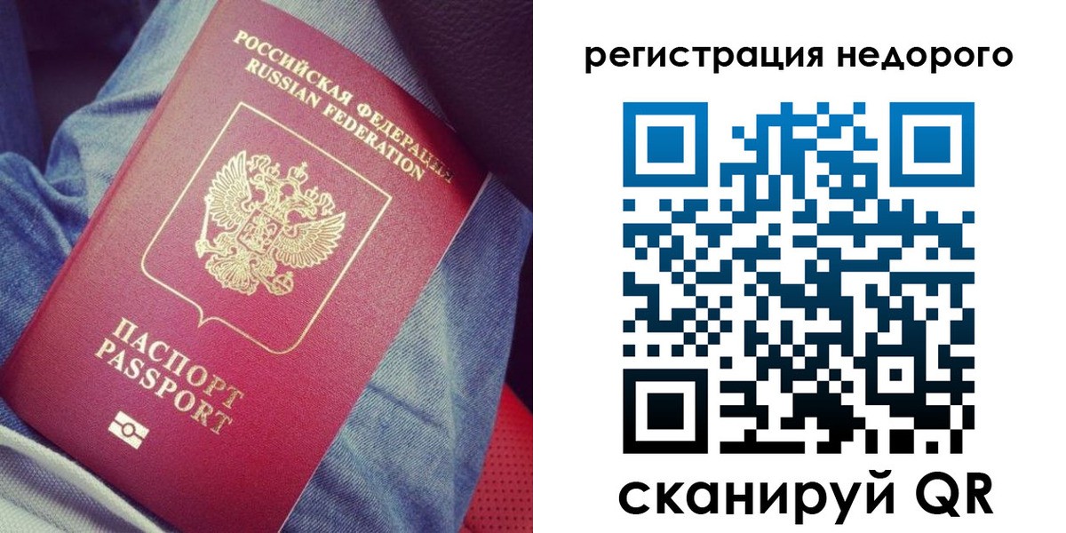 прописка в Кольчугино