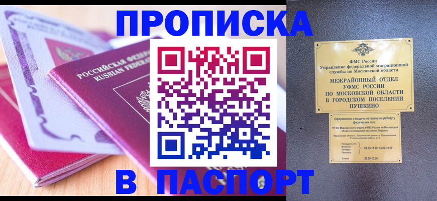 прописка законно в Кольчугино